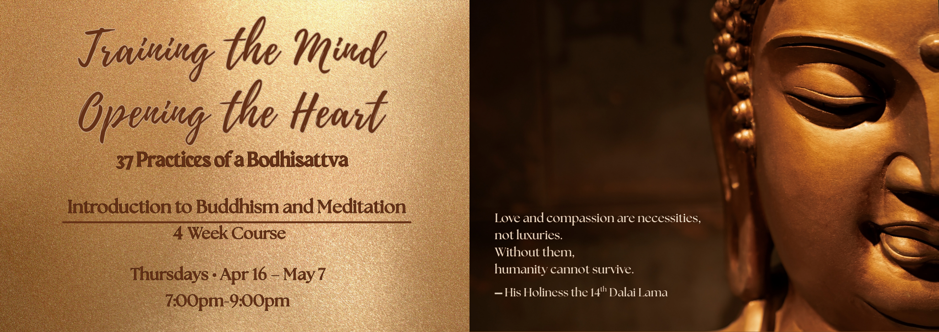 Training the Mind, Opening the Heart banner